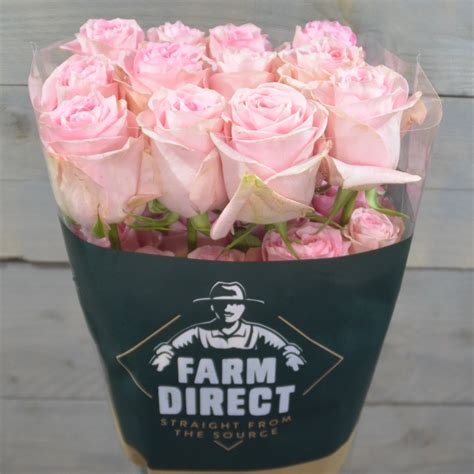 Luciano Farm Direct Flowers Premium Roses Sustainably Sourced