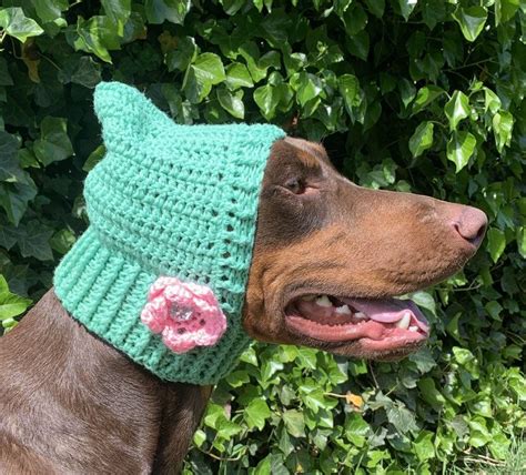 Crochet Dog Hat Large Free Pattern Search For Items Or Shops