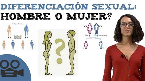 Diferenciaci N Sexual Hombre O Mujer Youtube