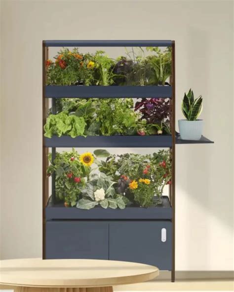 15 Best Indoor Garden Systems Of 2024 Tested And Reviewed Sustainably