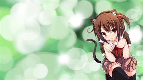 170 Cat Girl Hd Wallpapers And Backgrounds