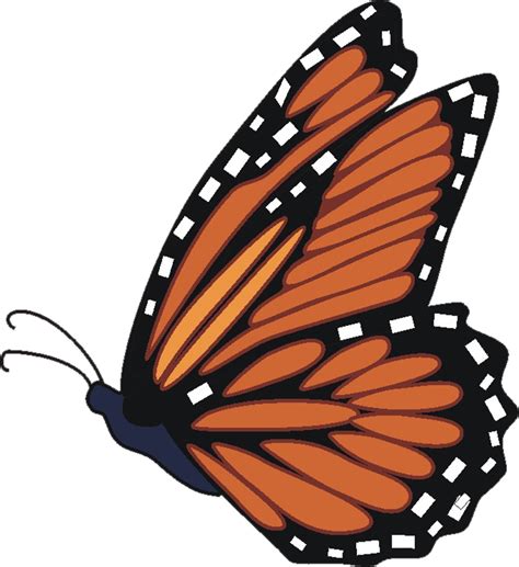Monarch Butterfly Clipart