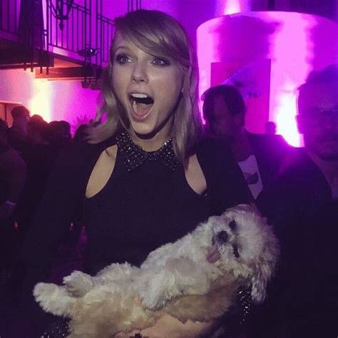 My Face Everytime I See A Dog Taylor Swift Pictures Taylor Alison