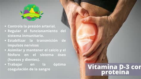 Propiedades Y Beneficios De La Vitamina D3 Salud Orgánico