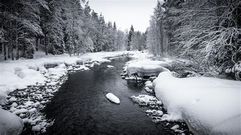 Wallpaper Snow River Forest Trees Hd Widescreen High Definition