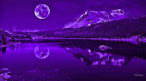 Download Wallpaper For 1920x1080 Resolution Purple Nights Reflection