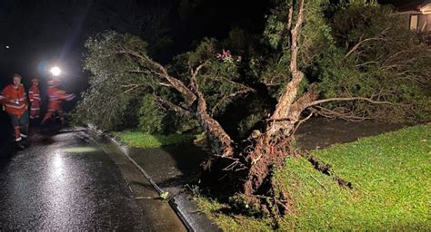 Hail Pierces Homes Trees Fall As Storm Rips Through