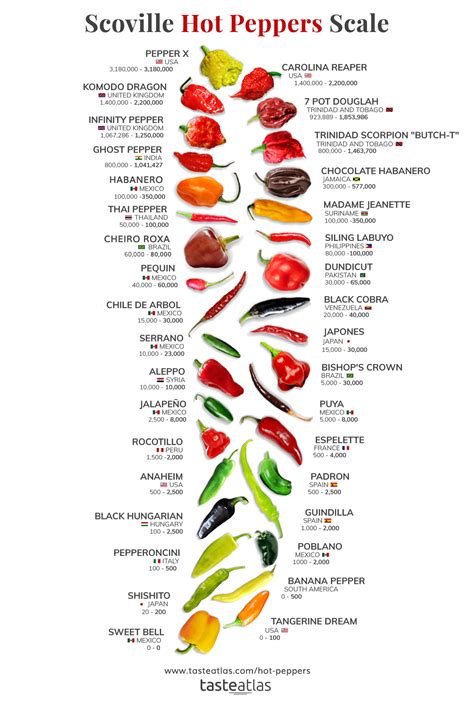 Scoville Pepper Heat Pepper Illustration From Sweetest To Very Hot