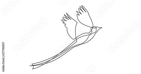Continuous Line Drawing Of Beautiful Bird With Long Tail Flying Stock