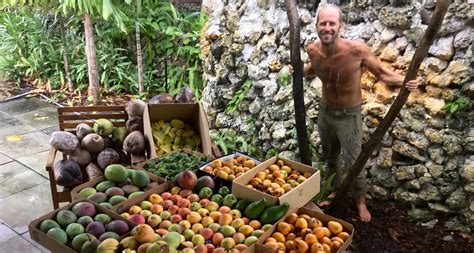 Urban Foraging in South Florida - Rob Greenfield