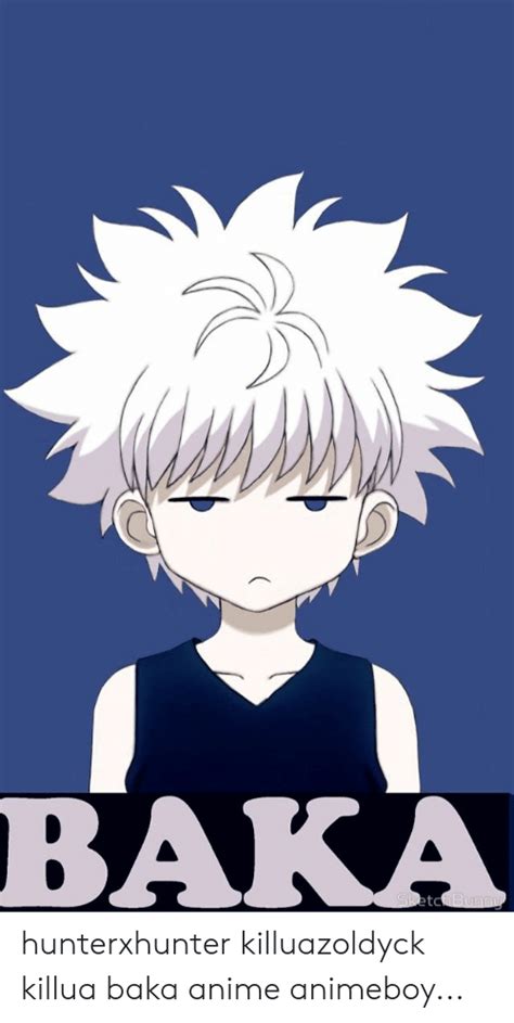 Anime Boy Hoodie Killua Aesthetic Pfp I Would Also Love To See What You