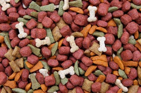 More than 70 dogs have died and 80 pets sick after eating sportsmix pet food. Breaking News: Dog and Cat Food Recall (12/30/20) in 2021 ...