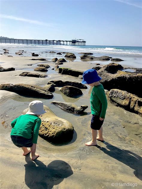 Your Complete Guide To San Diego Tide Pools All 21 Of Them