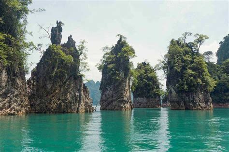 Khao Sok National Park Tours And Everything Else You Need