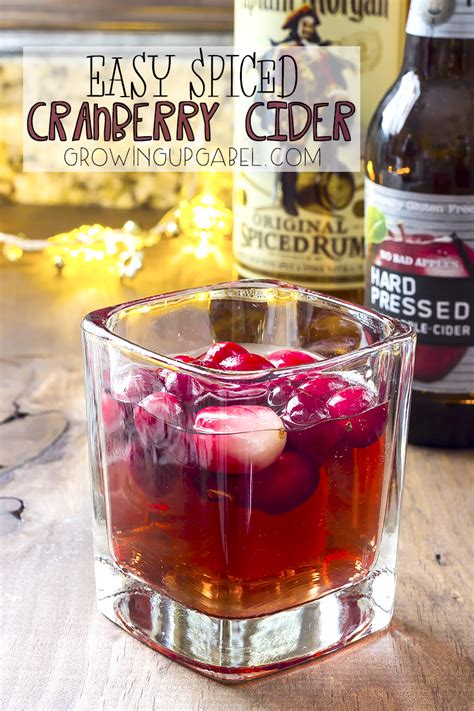 Easy Spiced Cranberry Cider Growing Up Gabel Tastefully Eclectic
