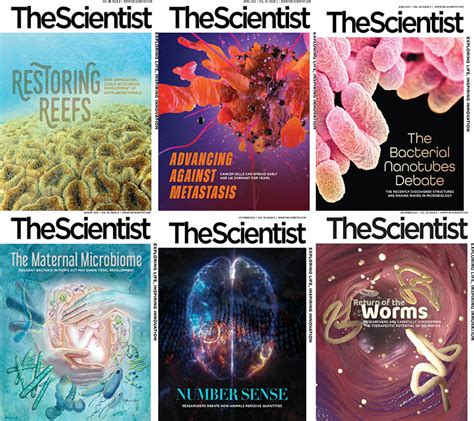 The Scientist 2021 Full Year Collection Download Pdf Magazines