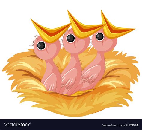 Hungry Chicks Cartoon Character Royalty Free Vector Image
