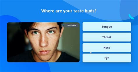 Where Are Your Taste Buds Trivia Questions Quizzclub