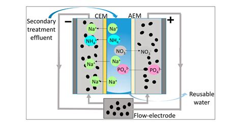 Concurrent Nitrogen And Phosphorus Recovery Using Flow Electrode