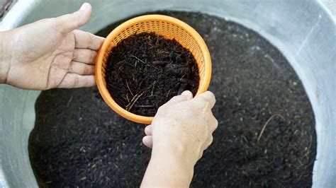 Soil Preparation For Vegetables Flowers And Herbs Gardening Tips