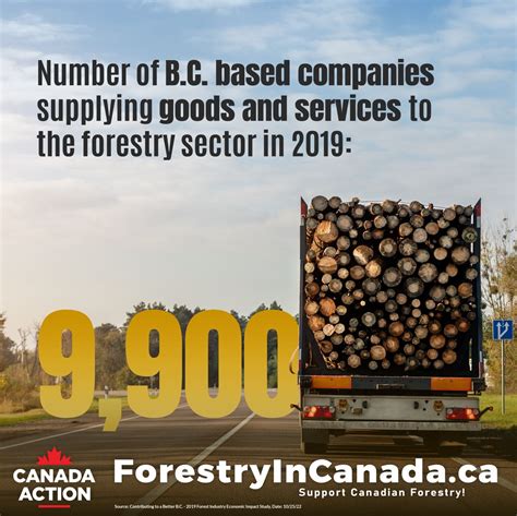 Forestry In British Columbia 20 Facts Canada Action