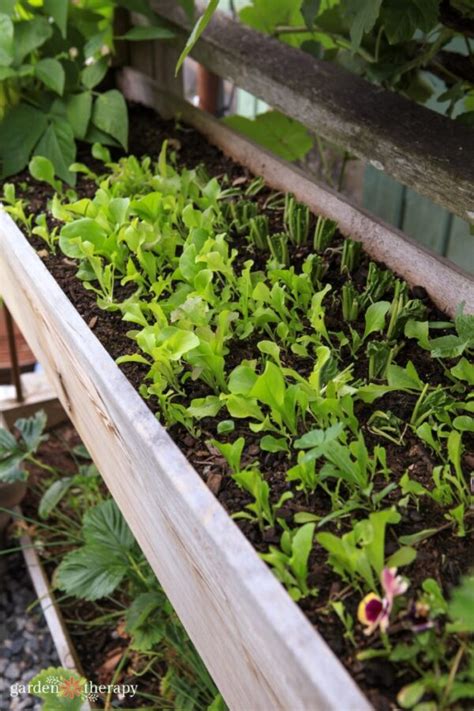 Vertical Garden Bed A Unique Raised Garden Youve Got To See