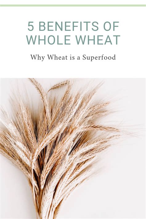 5 Benefits Of Whole Wheat Why Wheat Is A Superfood I Am Coach Kathy