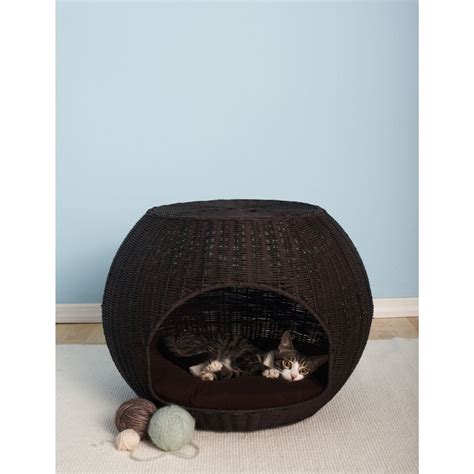 Cat Beds Wayfair Cat Bed Luxury Cat Bed Heated Cat Bed