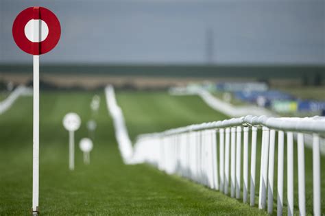 Newmarket Racing Tips Feel The Benefit