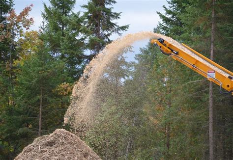 Ontario Unveils Forest Sector Strategy Including A Forest Biomass