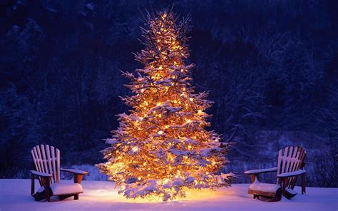 Mooi Brandende Kerstboom In De Sneeuw Christmas Tree Poster Christmas