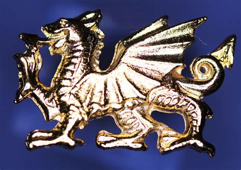 Welsh Dragon Pin Badge Verguld Wales Cymru Wdgpin Etsy