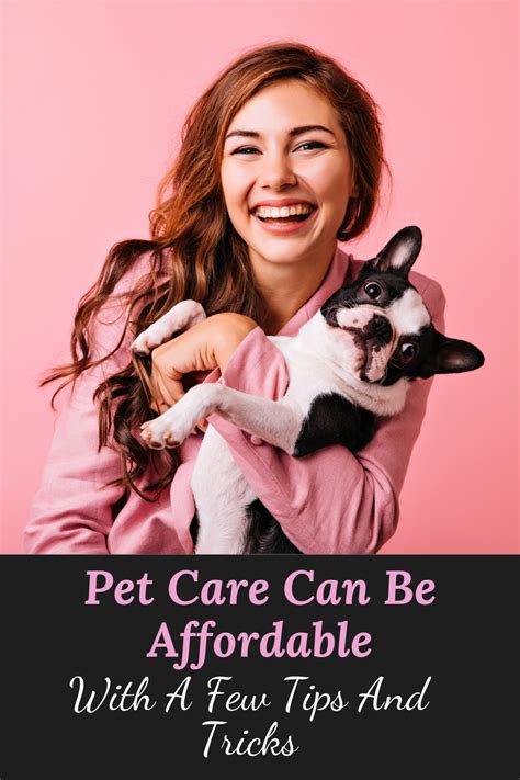 Veterinary Clinic You Are Awesome Sitter App Development Take Care
