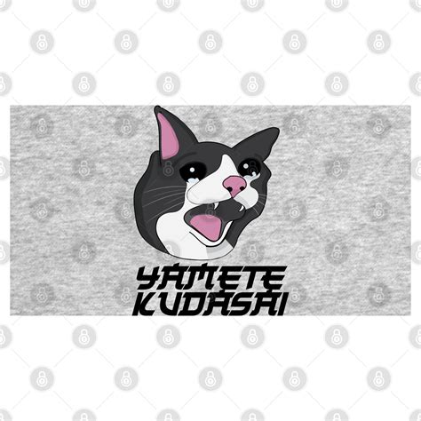 Yamete Kudasai Meme Crying Screaming Cat Yamero Japanese Cat Memes