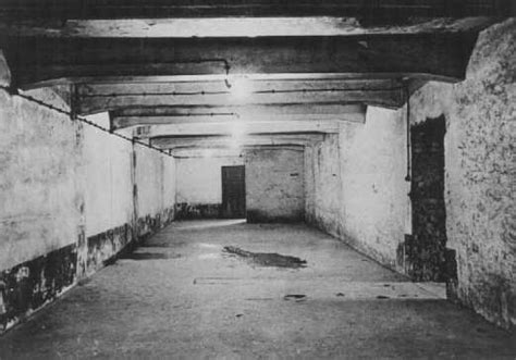 There were four gas chambers in the camp that used zyklon b gas. 25 Interesting Facts about Auschwitz - Swedish Nomad