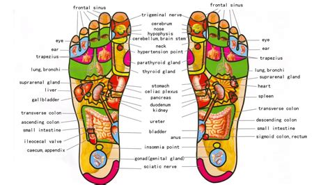 👐foot Massage Self Foot Massage Techniques Chinese Foot Reflexology Pressure Points