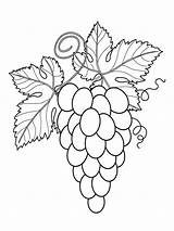 Coloring Grapes Grape Fruits Printable sketch template