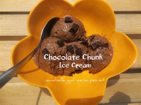Chocolate Chunk Ice Cream Dairy Free Vegan Paleo Refined Sugar Free