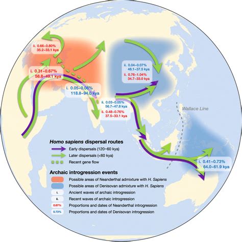 Map Of Homo Sapiens Dispersal Routes And Admixture Between Archaic And