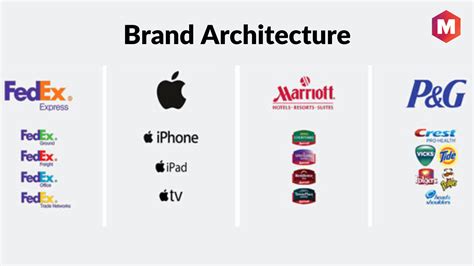 What Is Brand Architecture And The Advantages Of Brand Architecture
