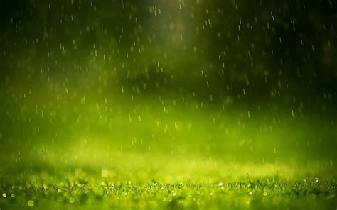 120 Rain Hd Wallpapers And Backgrounds