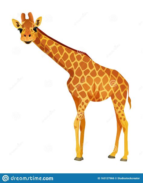 Cartoon Giraffe Isolated On A White Background Vector Illustration