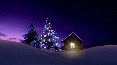 2560x1440 Christmas Lighted Tree Outside Winter Cabin