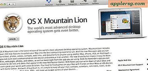 Installation Et Mise à Niveau Vers Os X Mountain Lion Sur Plusieurs Mac