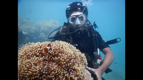 Scuba Diving At Havelock Island Andaman And Nicobar Islands Youtube