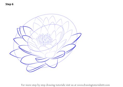 Download lily flower pad stock vectors. Learn How to Draw Lily Pad (Lily) Step by Step : Drawing ...