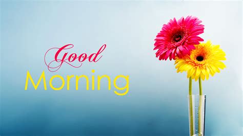 Good Morning Wallpaper With Flowers Full Hd 1920x1080 Gm Images