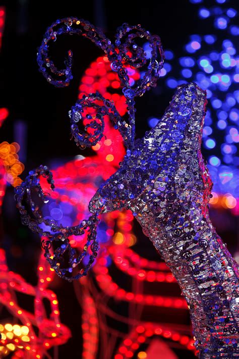 Maybe you would like to learn more about one of these? Free Images : winter, light, night, dark, celebration ...