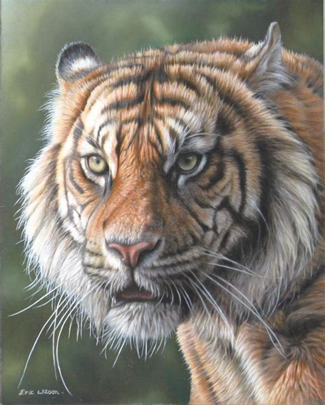 Eric Wilson Wildlife Artist Tiger Paintings Wildlife Paintings