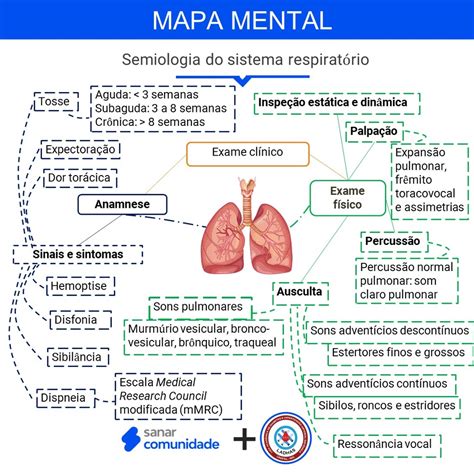 Mapa Mental Do Sistema Respirat Rio Ensino